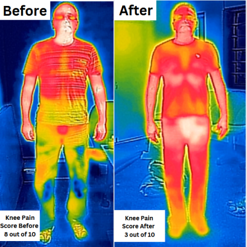 Professional Cocoon Sol Case Study - Get Fitt